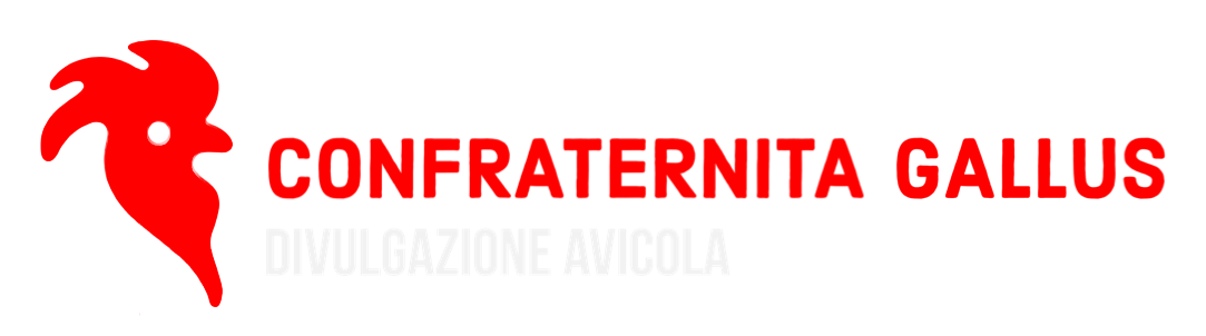 il portale indipendente di informazione avicola